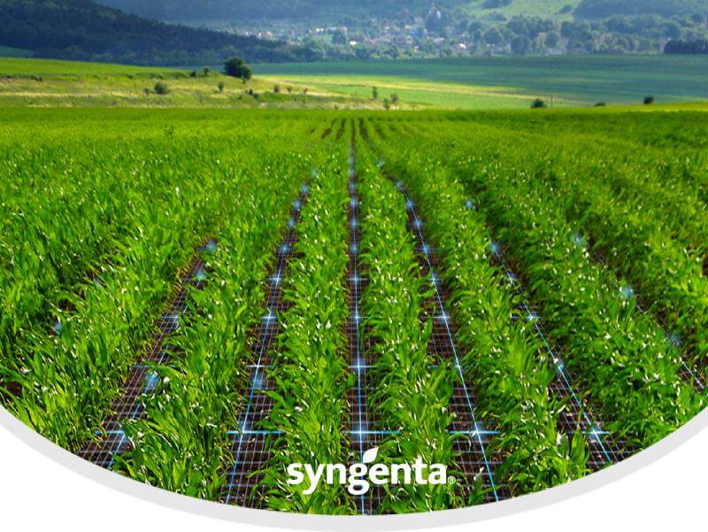 Syngenta | Acuron™Pack | Herbicida Selectivo para control de malezas en Maíz