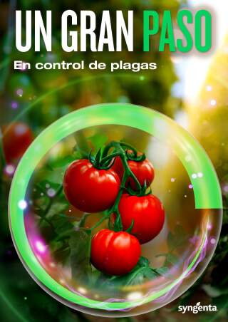 Syngenta | Virantra™ | Insecticida | Un Gran Paso en control de plagas en tomate