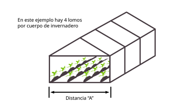 Syngenta