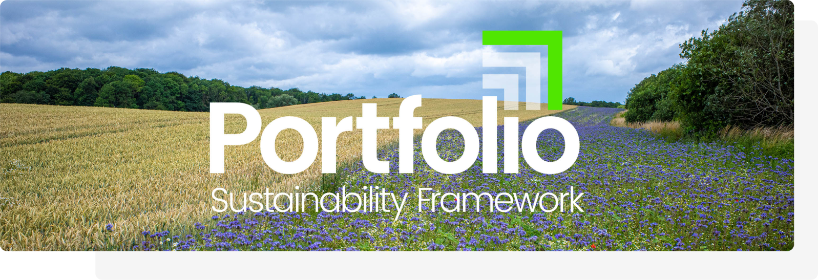 Banner Portfolio
