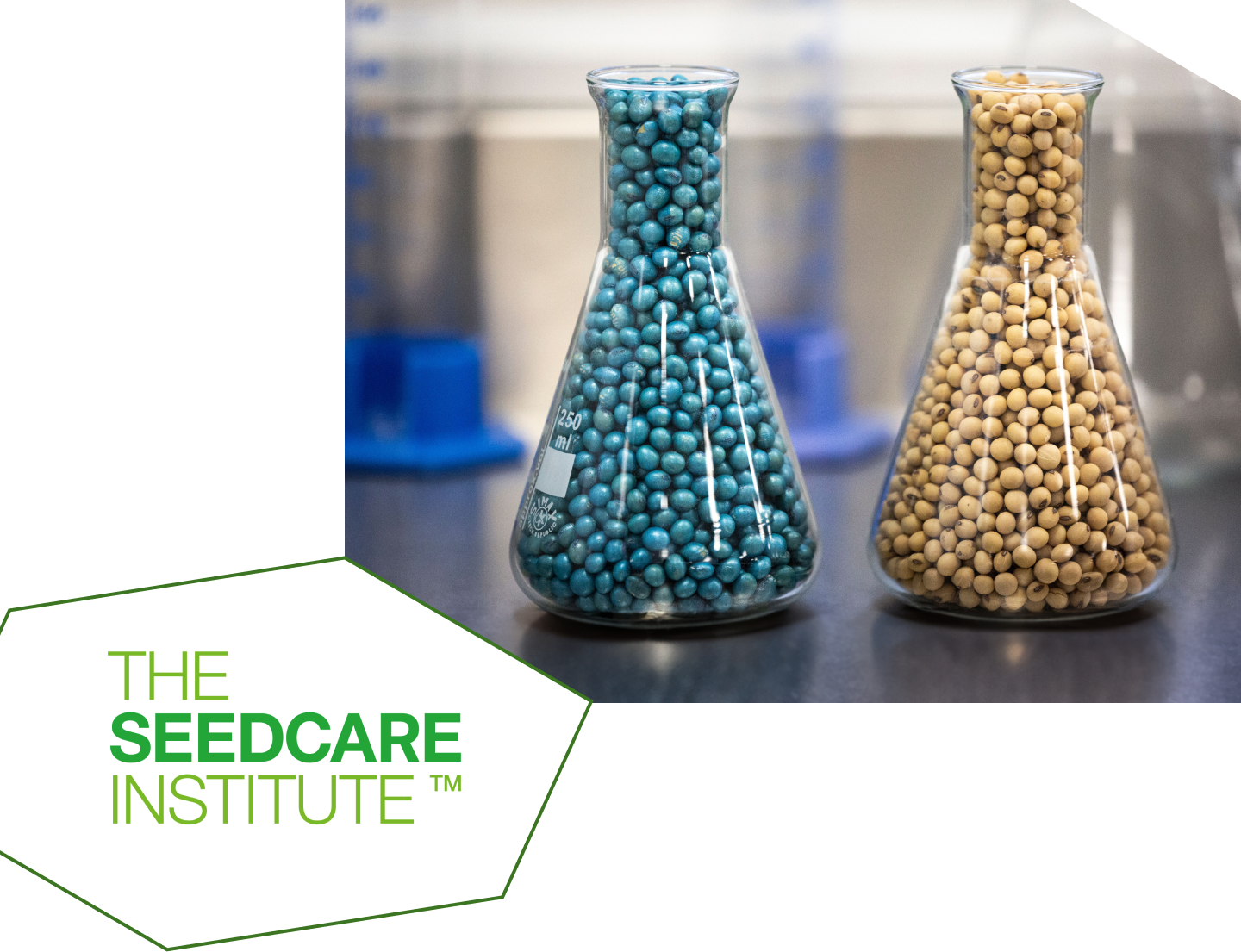 Descubrí el Seedcare Institute de Syngenta en Pergamino, Argentina Seedcare Institute Argentina - Centro de investigación y desarrollo de tecnologías para tratamiento de semillas de Syngenta