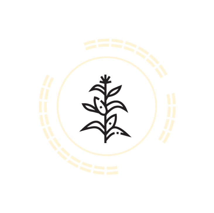 Syngenta
