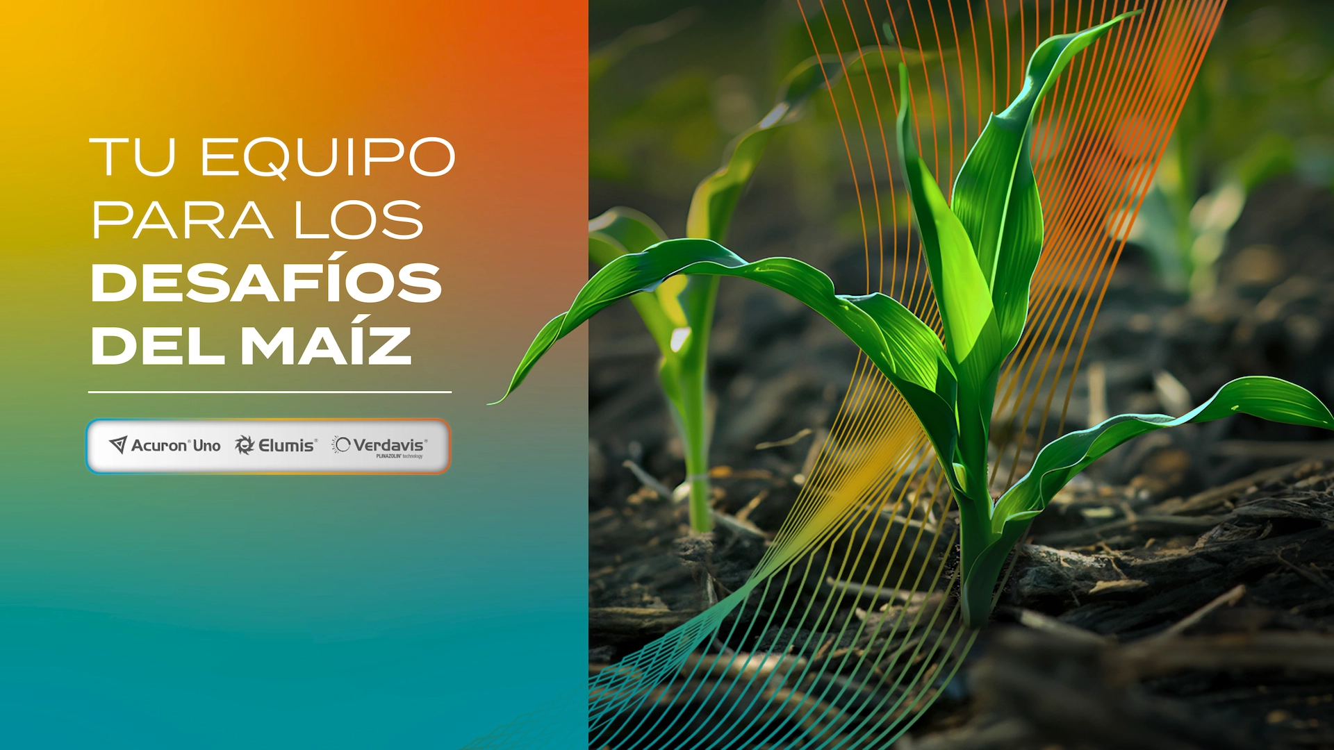 Syngenta