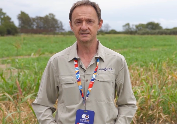 Mauro Mortarini