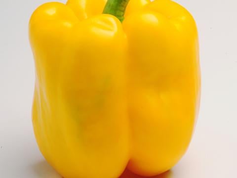 Kaamos, Pimiento