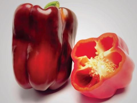 Almadrava, Pimiento