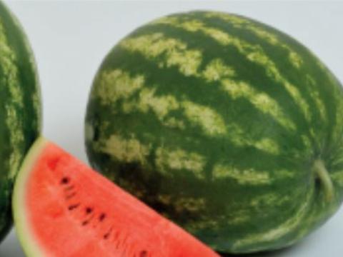 Baraka, Sandia