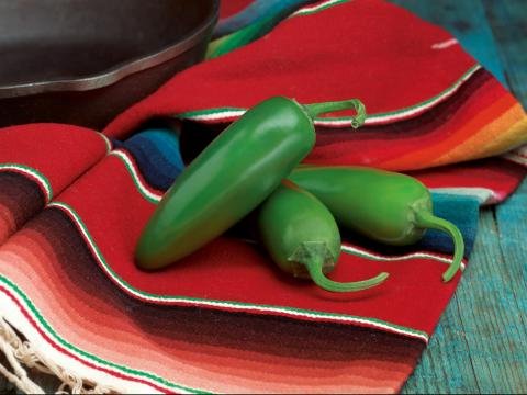 Compadre, Pimiento