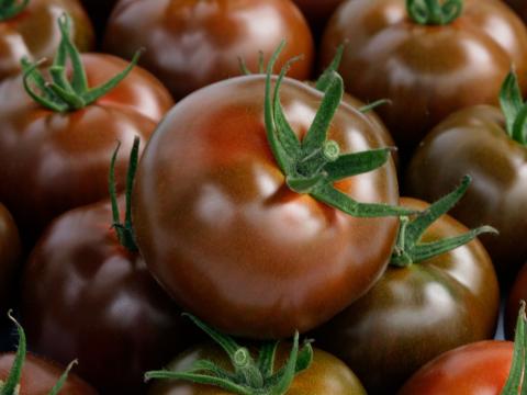 Kumato, Tomates especialidades