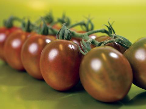 Mini kumato, Tomates especialidades