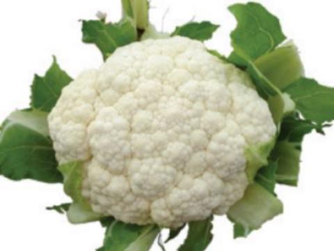 LD/smilla, Coliflor