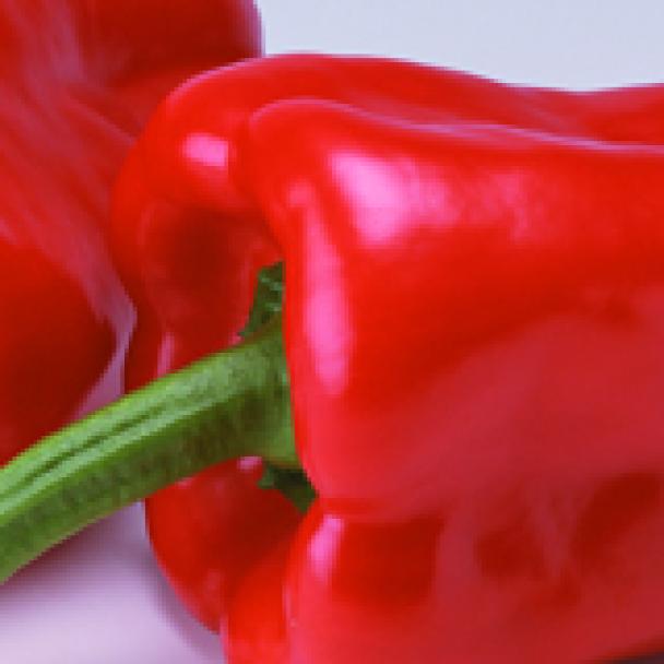 Platero, Pimiento