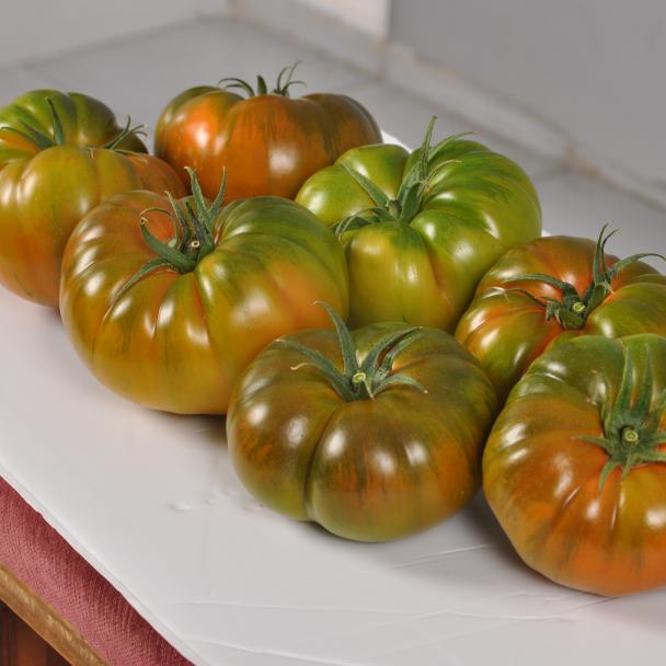 Dumas, Tomates especialidades