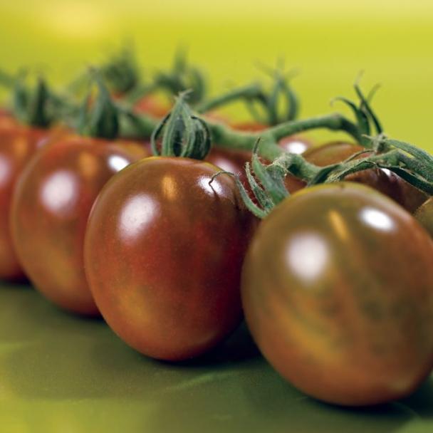 Mini kumato, Tomates especialidades
