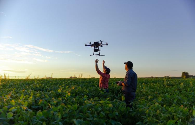 Dos hombres controlando un dron en un cultivo