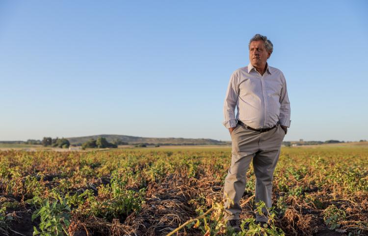 Syngenta
