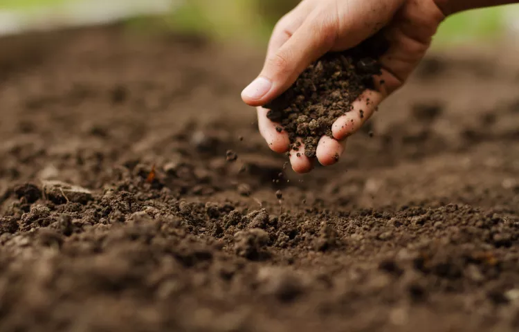 Mano esparciendo tierra sobre suelo de jardín, fondo desenfocado.