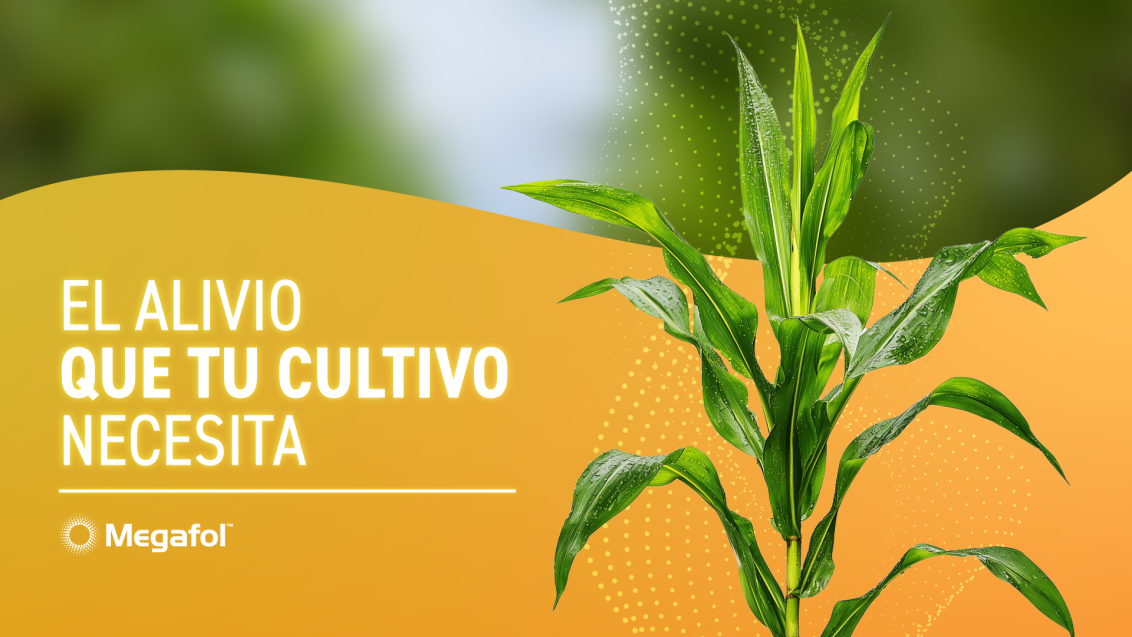 Syngenta