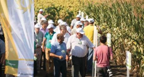 Visita a campo