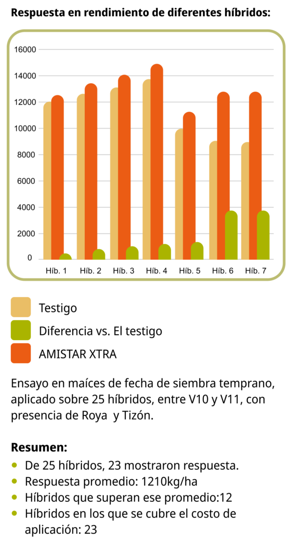 AMISTAR XTRA® Syngenta | Mitos de aplicación de Fungicidas | Rendimiento en híbridos