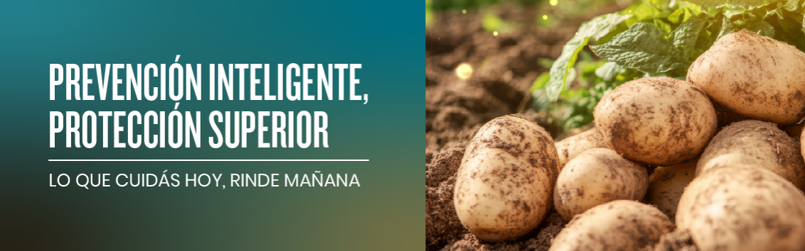 Syngenta