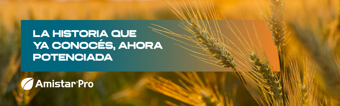 Banner con espigas de trigo iluminadas por la luz dorada del atardecer. Sobre un recuadro verde-azulado aparece el texto: ‘La historia que ya conocés, ahora potenciada’. En la esquina inferior izquierda se ve el logo de Amistar Pro.