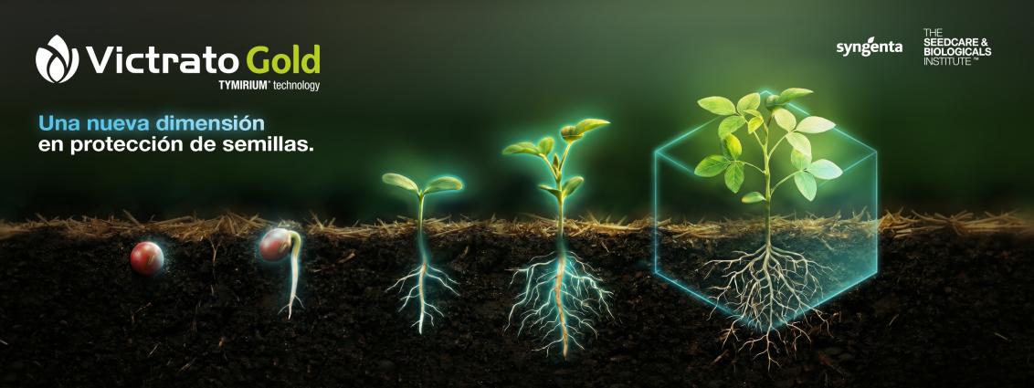 Gráfico de etapas del crecimiento de una planta desde semilla hasta brote en cubo de tierra