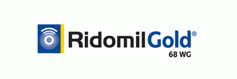 Ridomil Gold | Fungicida