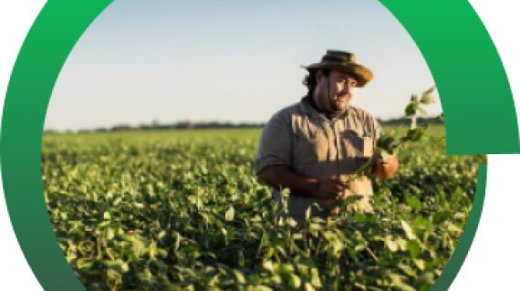 Syngenta
