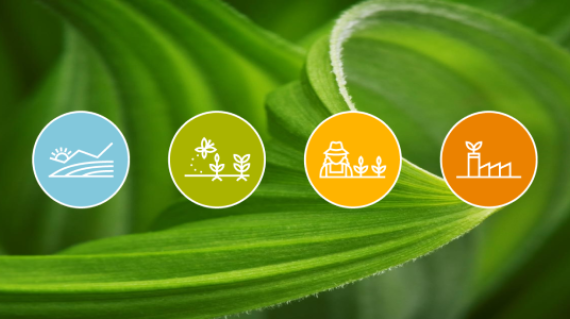 Syngenta