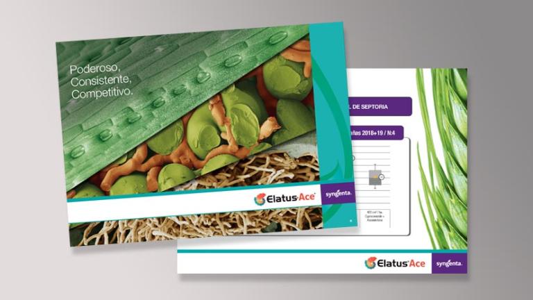 Material Publicitario