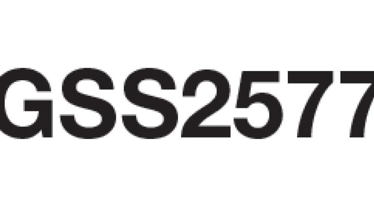GSS2577, Maíz Choclo