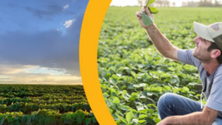 Syngenta