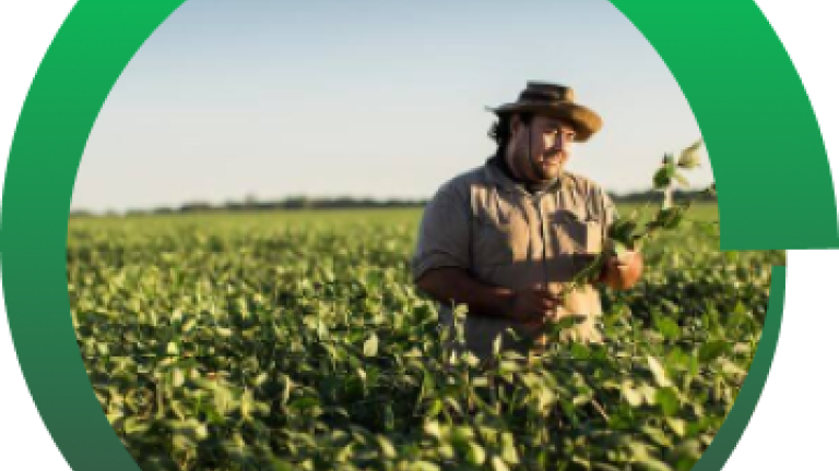 Syngenta