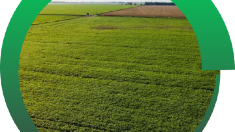 Syngenta