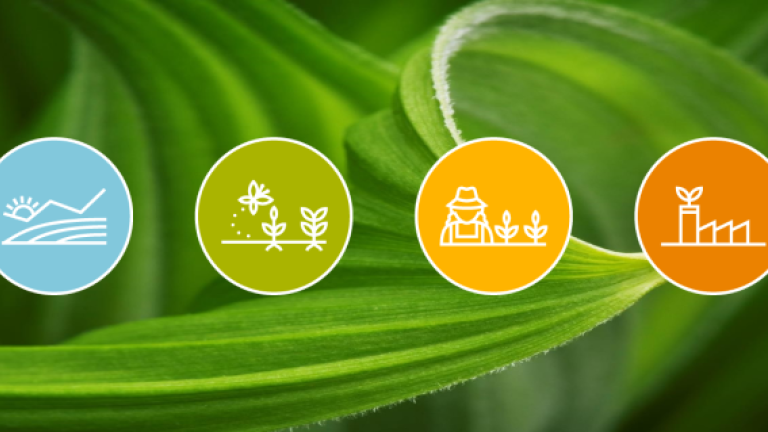 Syngenta
