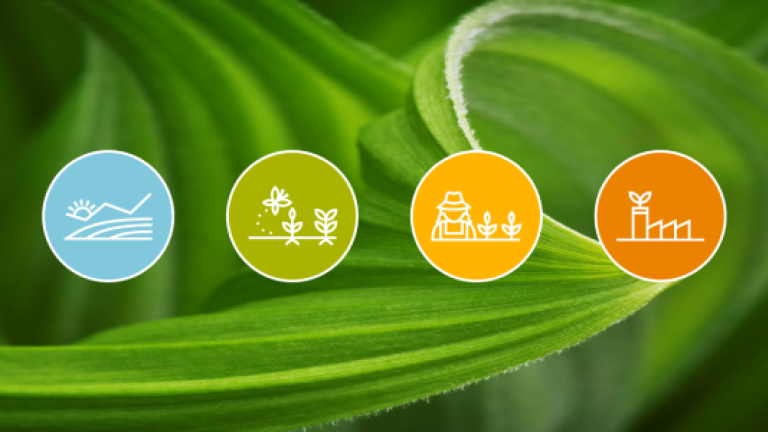 Syngenta