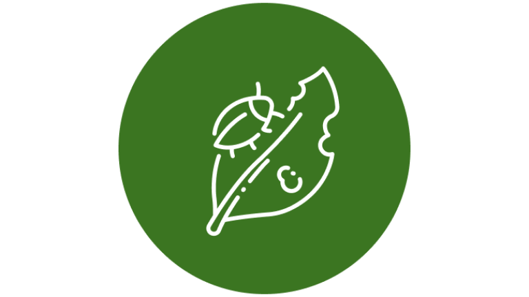 Syngenta