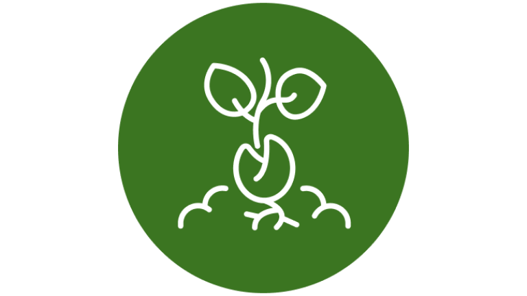 Syngenta