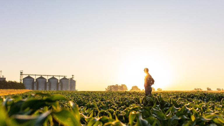 Syngenta