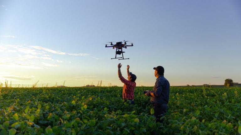 Dos hombres controlando un dron en un cultivo
