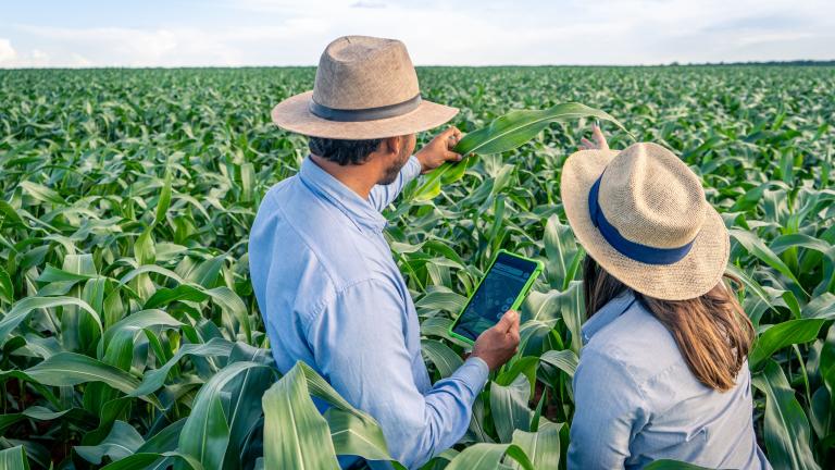 Syngenta