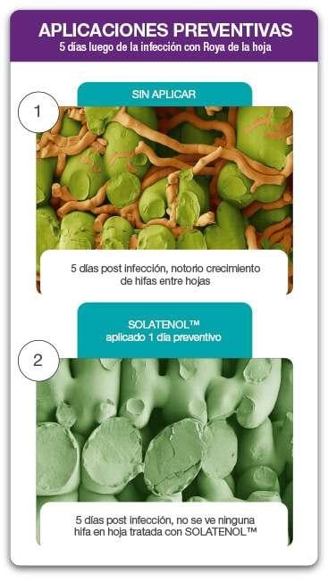 Aplicaciones Preventivas