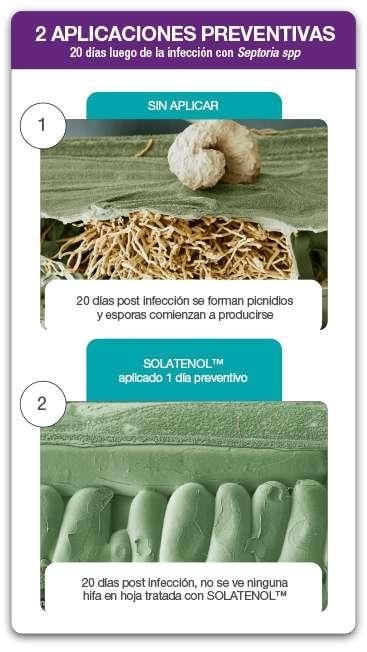 Aplicaciones Preventivas