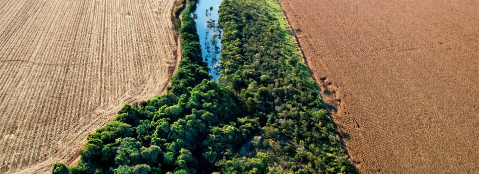 Arroyo entre dos campos de cultivo