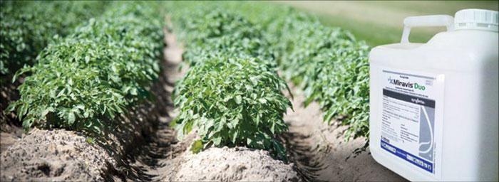 Aplicación de producto fitosanitario
