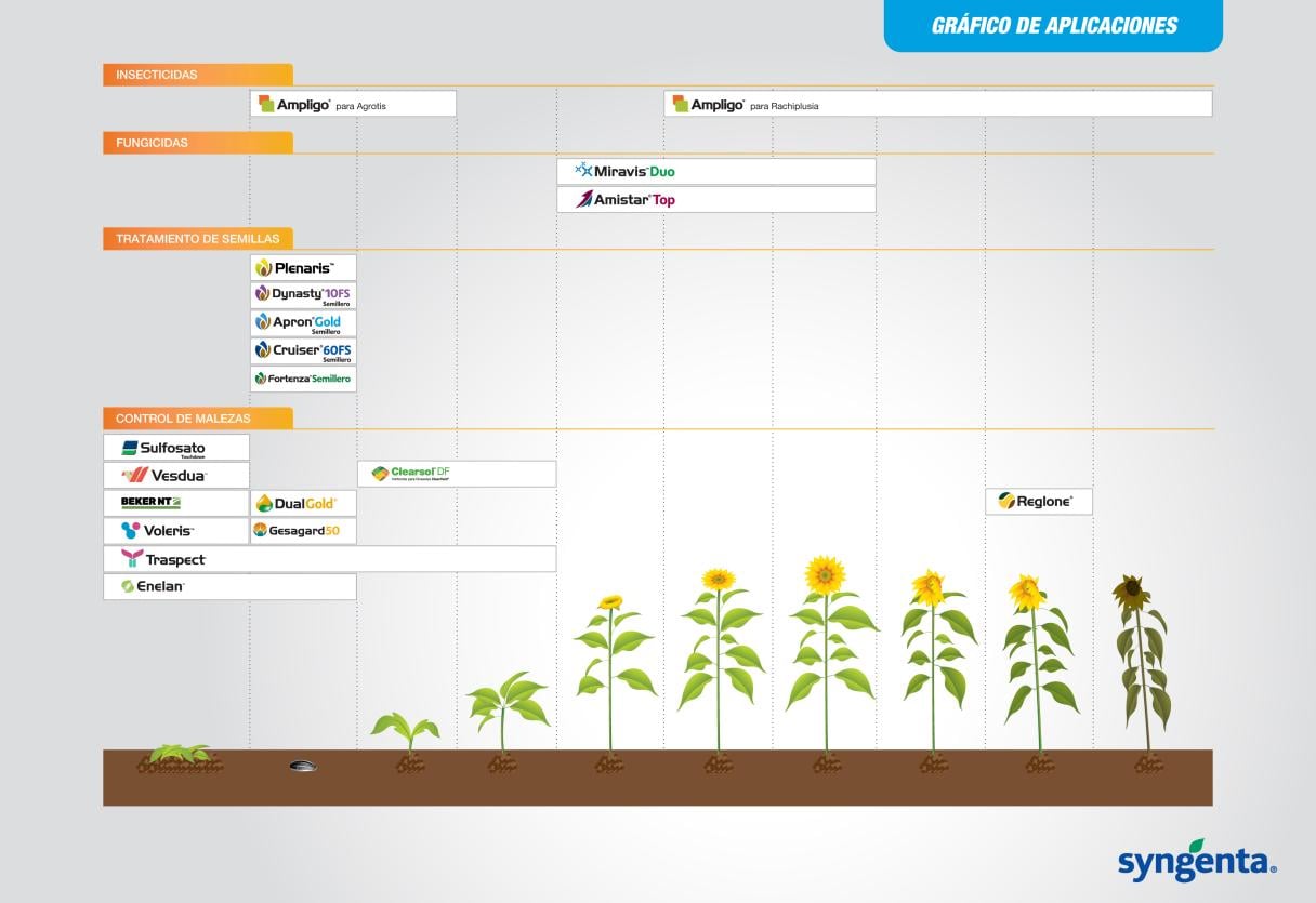 Gráfico de Aplicaciones - Girasol
