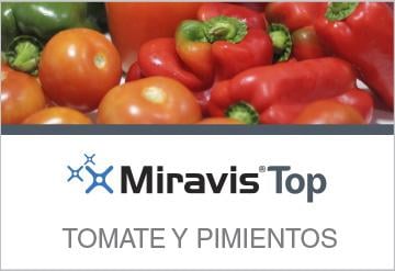 Miravis Top