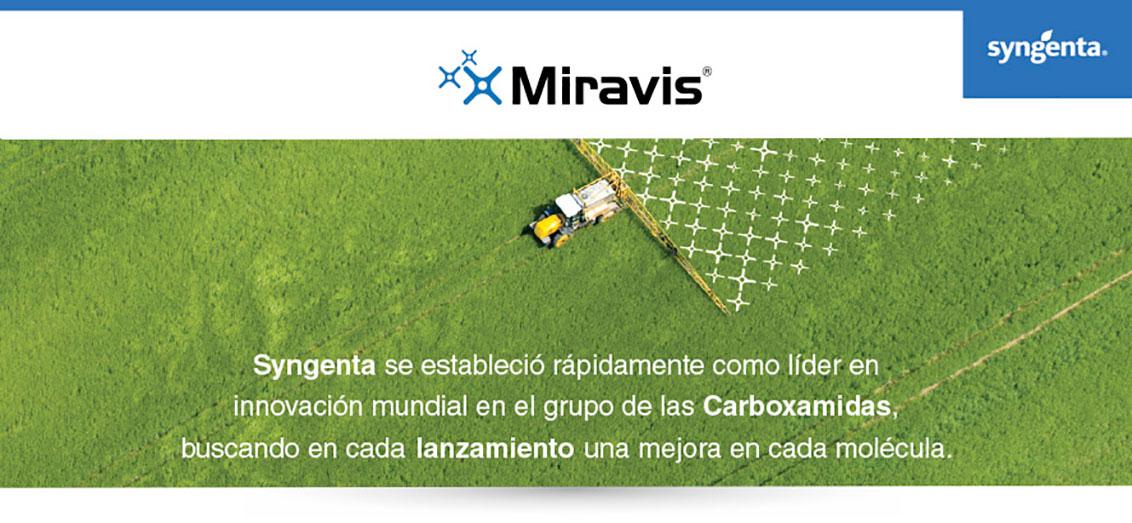 Cabecera Miravis