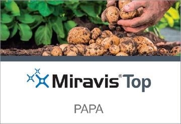 Miravis Top Papa